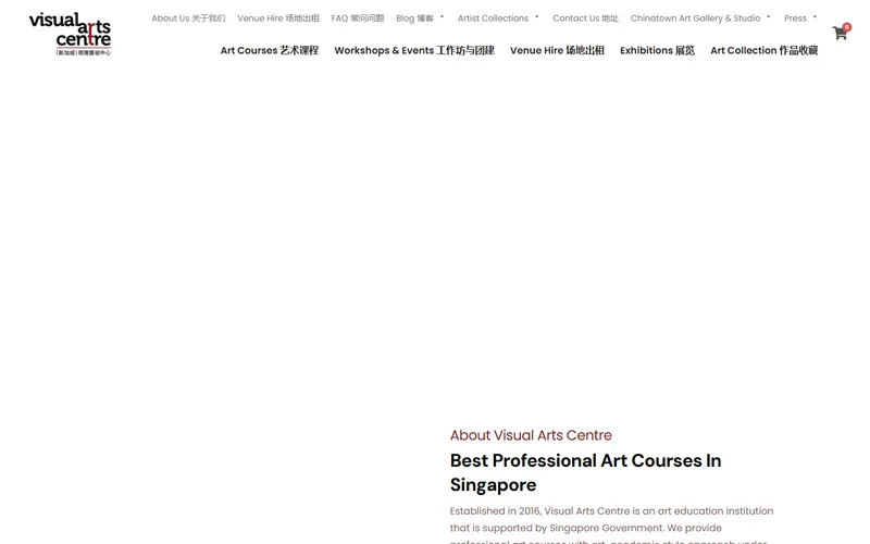 Visual Arts Centre Singapore homepage screenshot