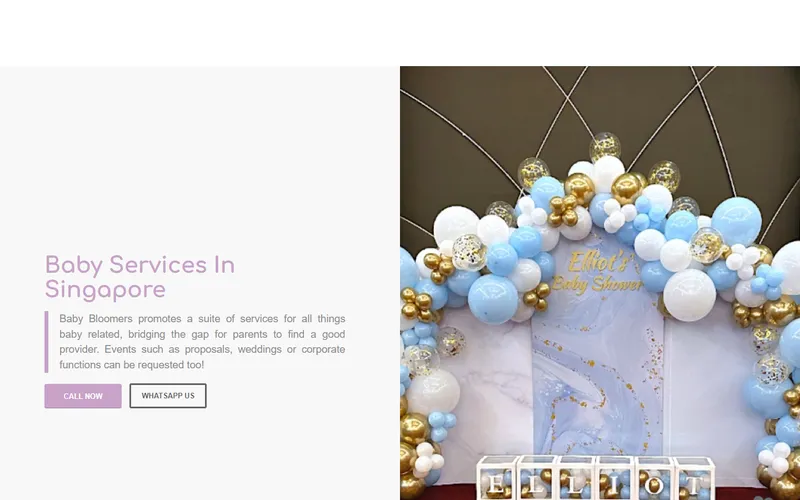 Baby Bloomers homepage