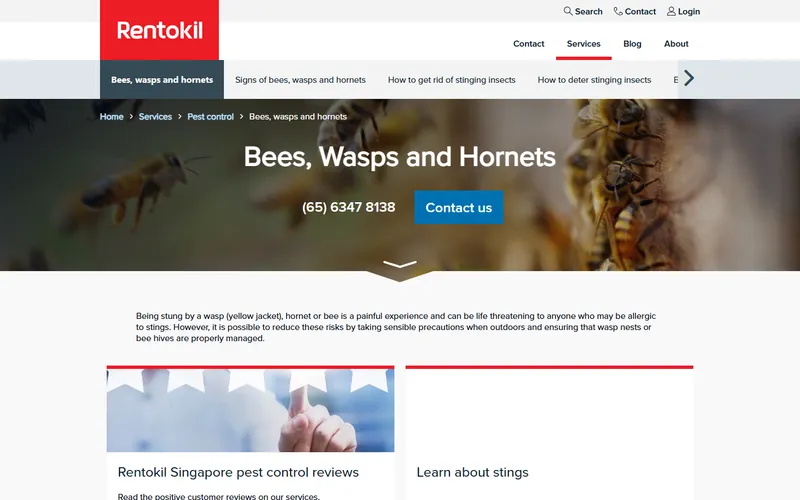 Rentokil Singapore bees, wasps and hornets page