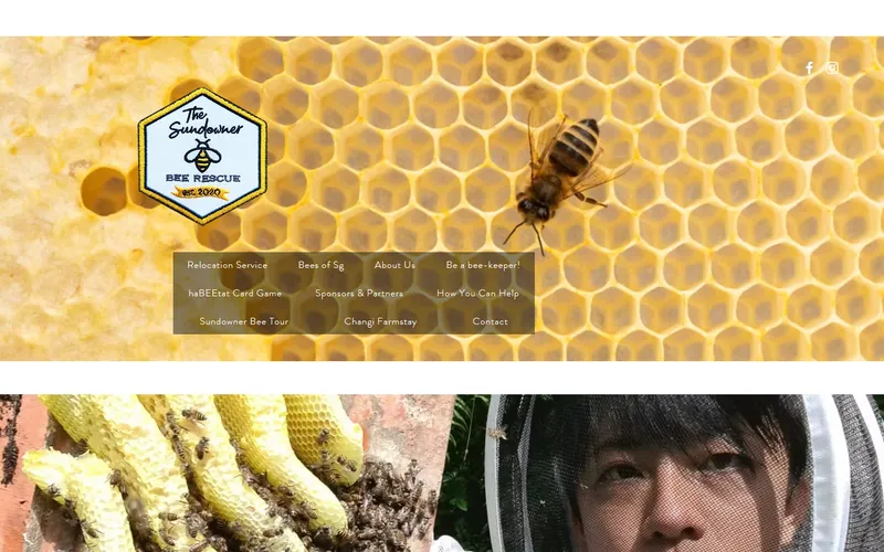 The Sundowner Bee Rescue Singapore homepage