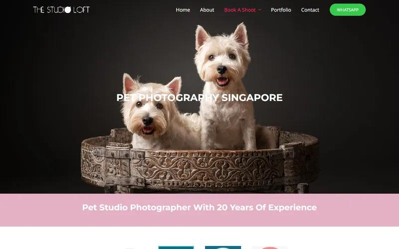 The Studio Loft cake smash homepage