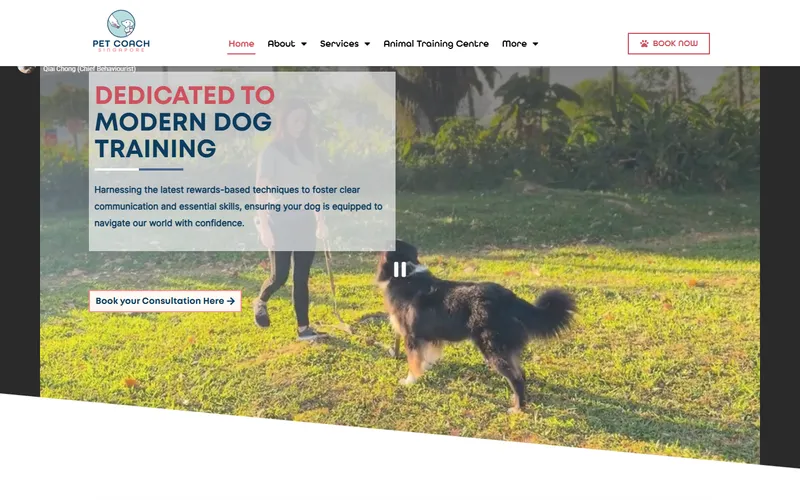 Pet Coach SG homepage