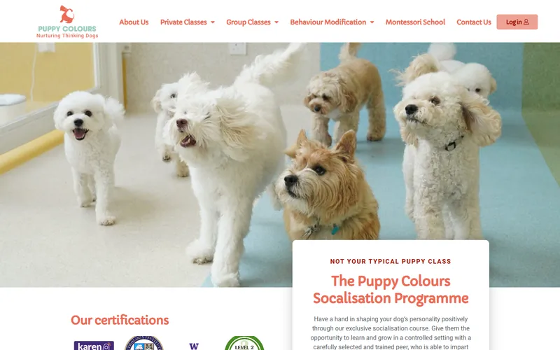 Puppy Colours Academy homepage