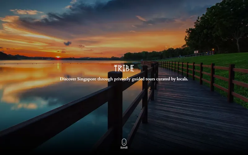 Tribe Tours homepage
