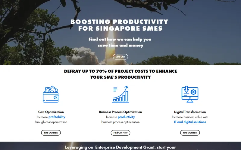Optimal Cost grant consultant Singapore homepage