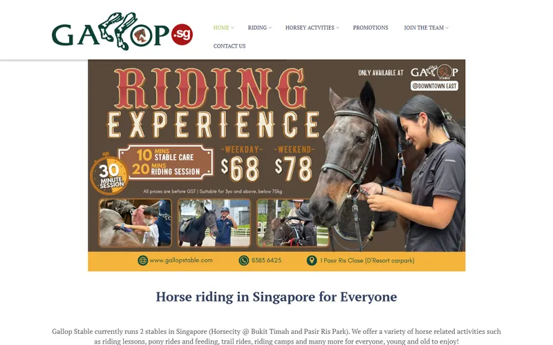 Gallop Stable pony party Singapore homepage