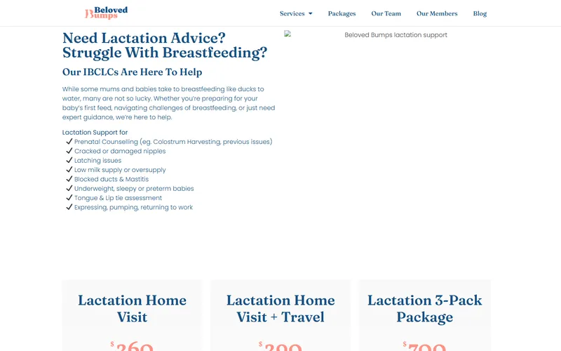 Beloved Bumps lactation support homepage