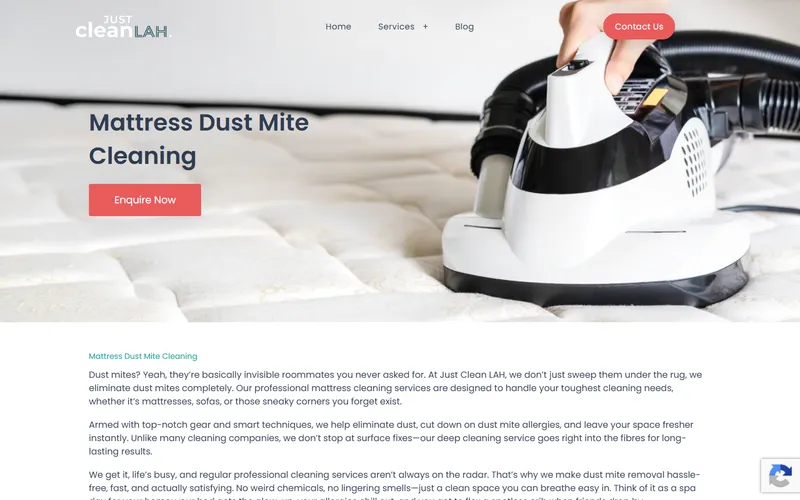 Just Clean Lah homepage