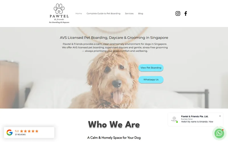Pawtel & Friends homepage