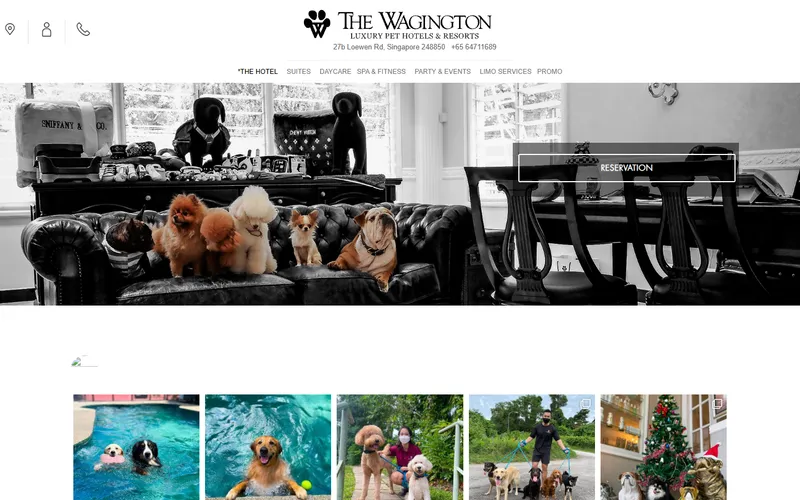 The Wagington homepage