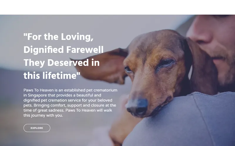 Paws To Heaven homepage