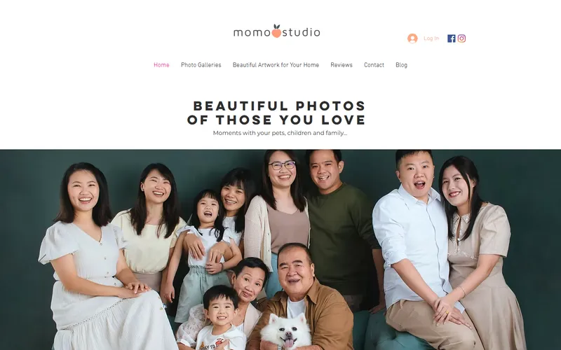 Momo Studio pet photography homepage