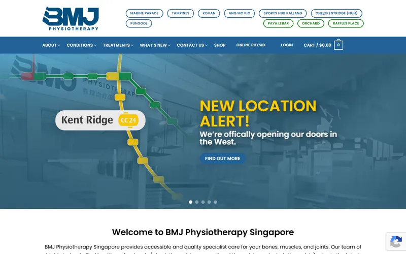 BMJ Physiotherapy homepage screenshot