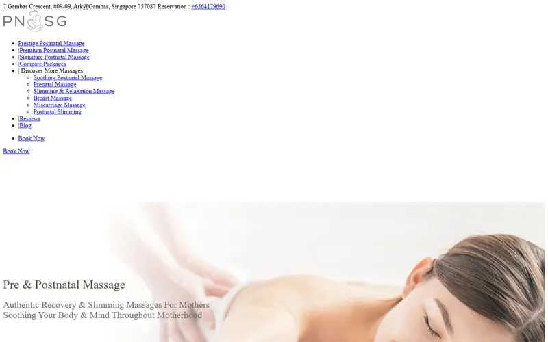 PNSG postnatal massage homepage screenshot