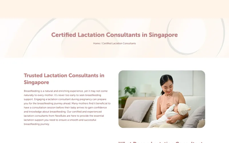 NewBubs lactation consultant homepage