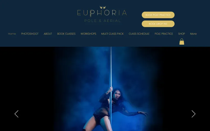 Euphoria Pole & Aerial homepage