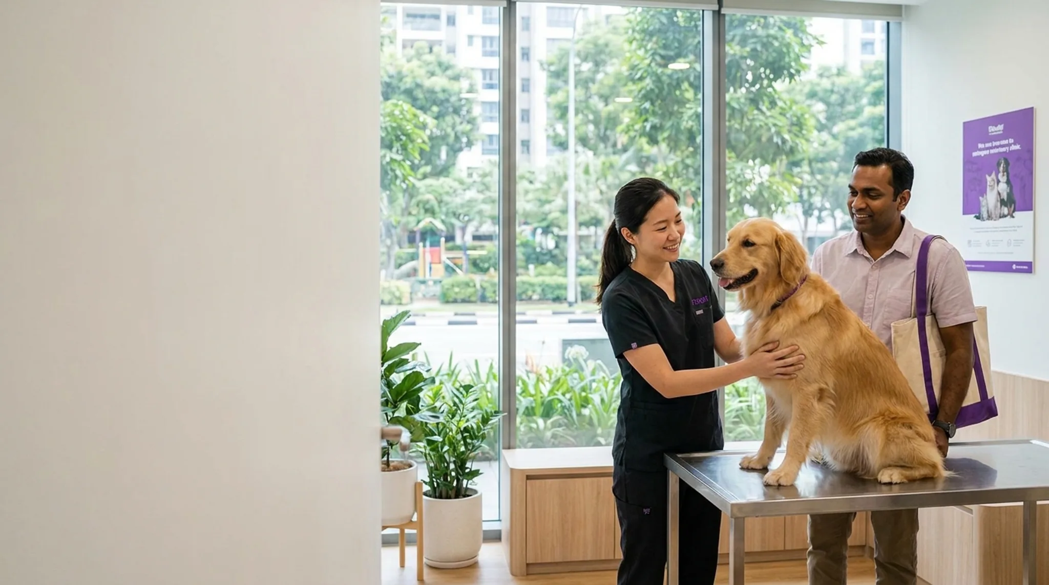 Veterinarian examining a dog in a Singapore vet clinic, with a phone showing a nearby vet clinic search