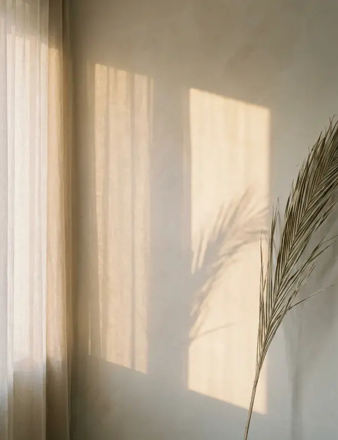 Afternoon light through a sheer curtain on a limewash wall, a dried palm frond in silhouette