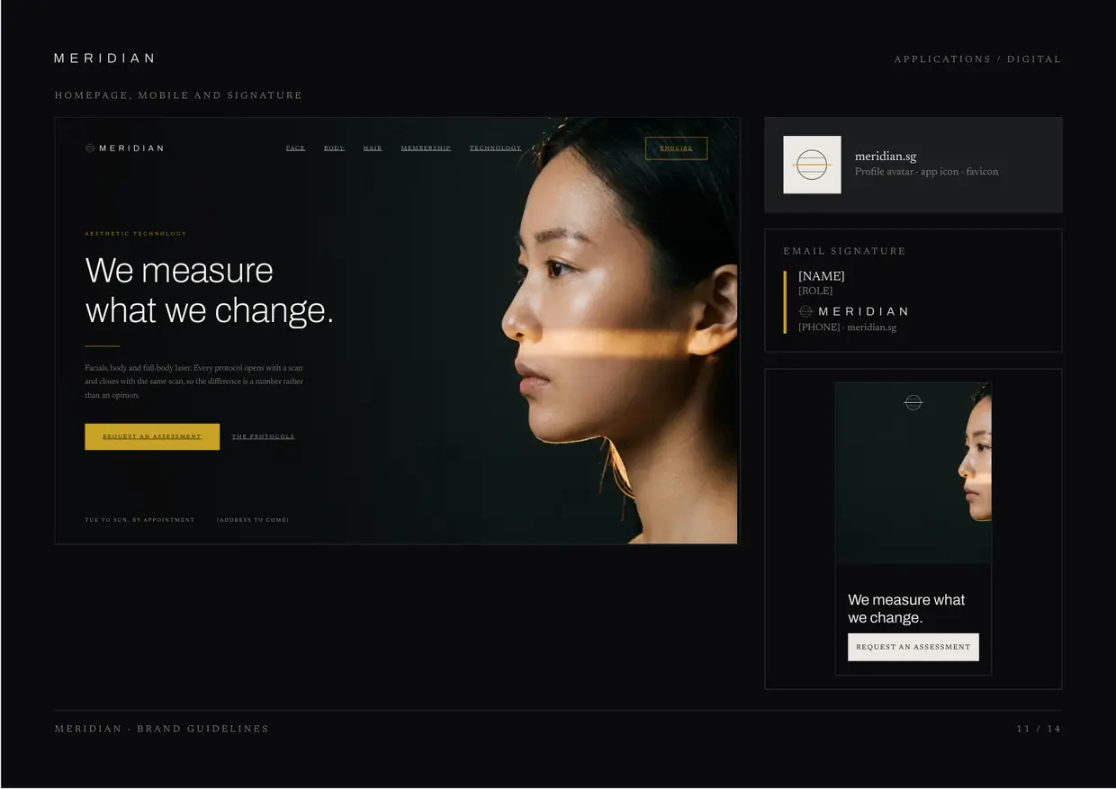 Meridian brand guidelines, page 11: Applications, digital