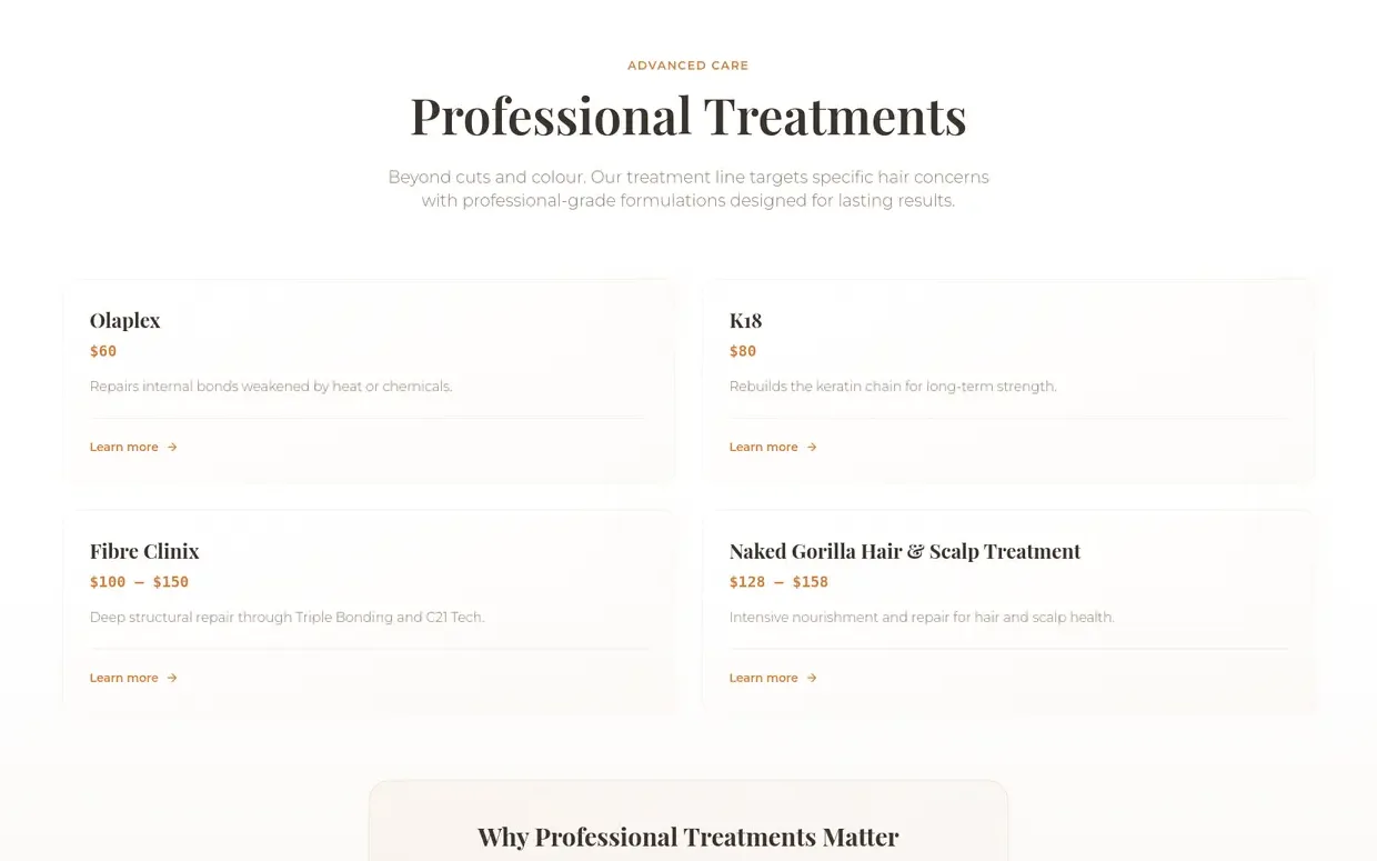 The new site: Professional Treatments, on the homepage